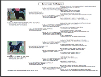 Pedigree Link